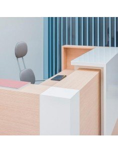 MOSTRADOR TERA CON PANEL... 2