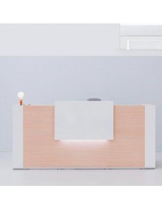 MOSTRADOR TERA CON PANEL... 2