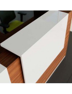 MOSTRADOR TERA CON PANEL... 2